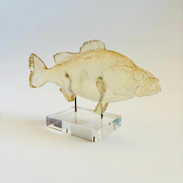 A wonderful vintage sculpture of a fish. Made of acrylic with great realistic detailing. Mounteed with wires on a...