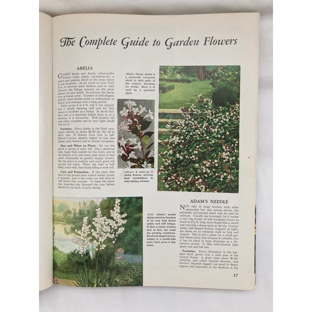 1970s The Complete Guide to Garden Flowers / a Vintage Encyclopedia of Garden Planning / 1972 For Sale - Image 5 of 12
