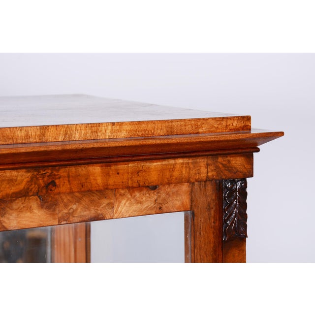 Glass Biedermeier Display Cabinet in Walnut, 1830s For Sale - Image 7 of 18