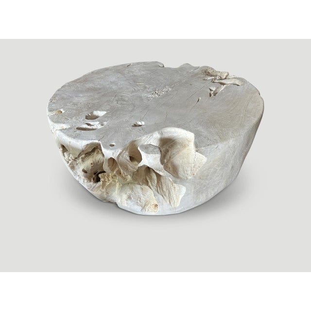 Contemporary Andrianna Shamaris Organic Drum Shape Teak Wood Coffee Table For Sale - Image 3 of 18