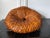 Large Contemporary Japanese Woven Bamboo Sculpture Mimura Chikuho For Sale - Image 13 of 16