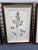 Antique Botanical Framed Prints by Madame Pinard For Sale In Tampa - Image 6 of 6