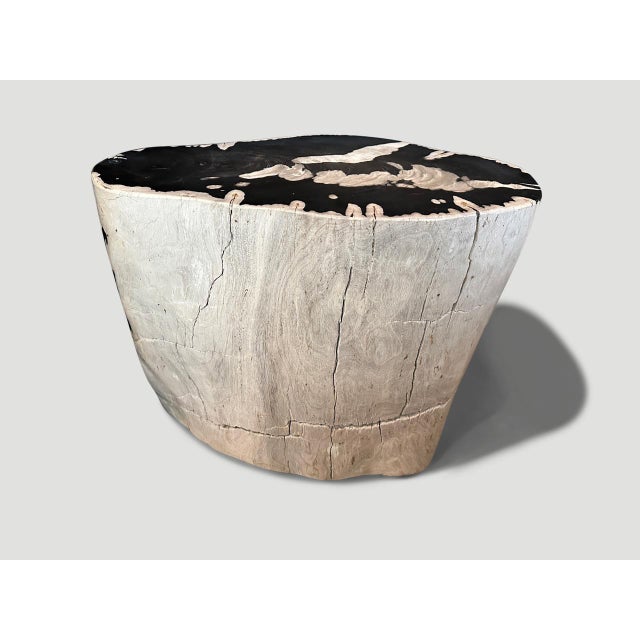 Contemporary Andrianna Shamaris Striking Ancient Petrified Wood Side Table For Sale - Image 3 of 6
