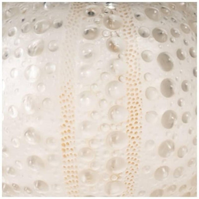 Glass Sea Urchin Model Ball Vase by René Lalique, 1935 For Sale - Image 7 of 9