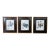 Set of 3 Framed Fruit Botanical Prints - Classic Wall Art For Sale