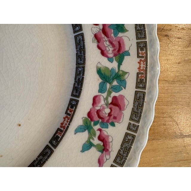 English Antique English Myott “Indian Tree” Plate – 10.75 For Sale - Image 3 of 6