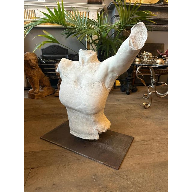 Mid 20th Century French Plaster Female Torso, 1960 For Sale - Image 10 of 11