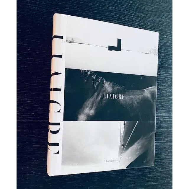 Vintage Christian Liaigre “Twelve Projects” Large-Format Luxury Design Book, French Edition For Sale - Image 12 of 12