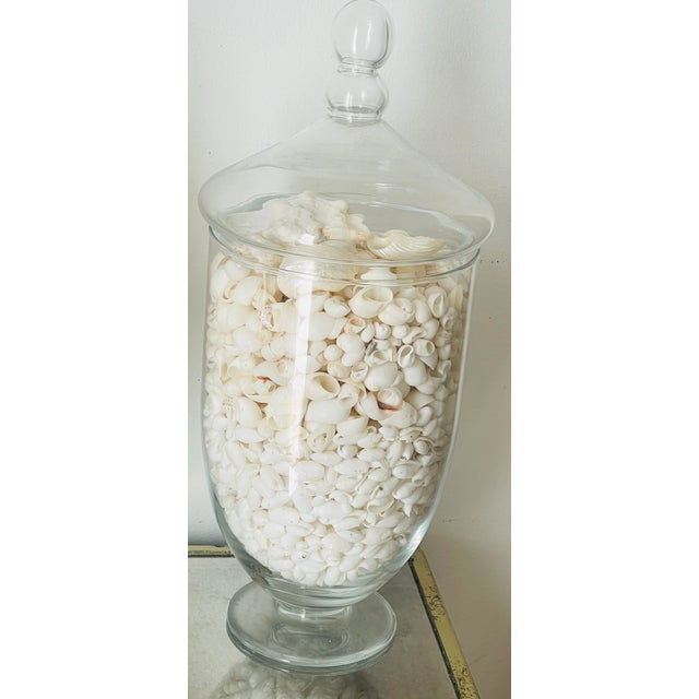 1970s 1970s Three Large Apothecary Glass Jars With Sea Shells For Sale - Image 5 of 8