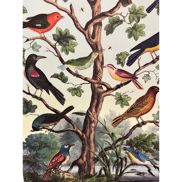 1990s Birds (Oiseaux) Poster For Sale - Image 5 of 6