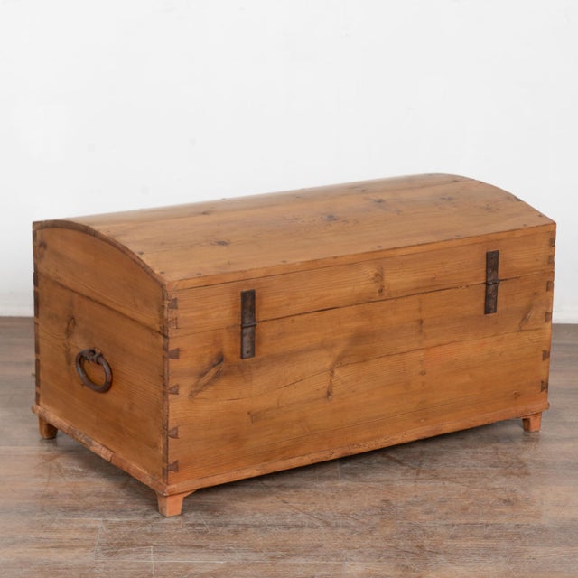 19th Century Swedish Pine Dome Top Trunk For Sale - Image 11 of 11