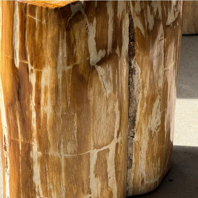Oval Side Table in Petrified Wood, 1980s For Sale - Image 16 of 18
