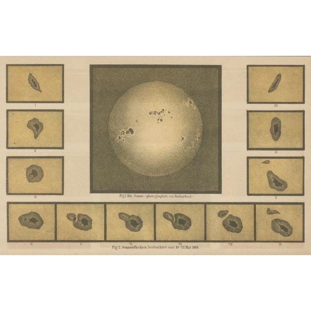 Antique Solar Study Chart, 1890s For Sale - Image 4 of 9