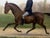 1887 Victorian Equestrian Portrait of a Gentleman & Bay Horse in Hyde Park For Sale - Image 4 of 18