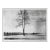 Vintage Mid Century Lone Tree Landscape Etching For Sale