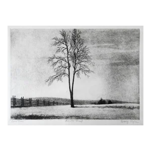 Vintage Mid Century Lone Tree Landscape Etching
