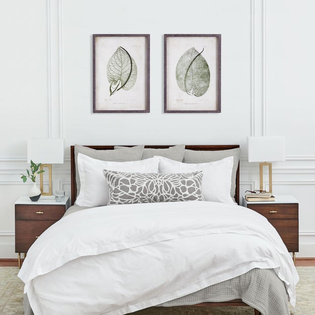 Early 21st Century Cordate Leaf Study, Set Of 2 For Sale - Image 5 of 5