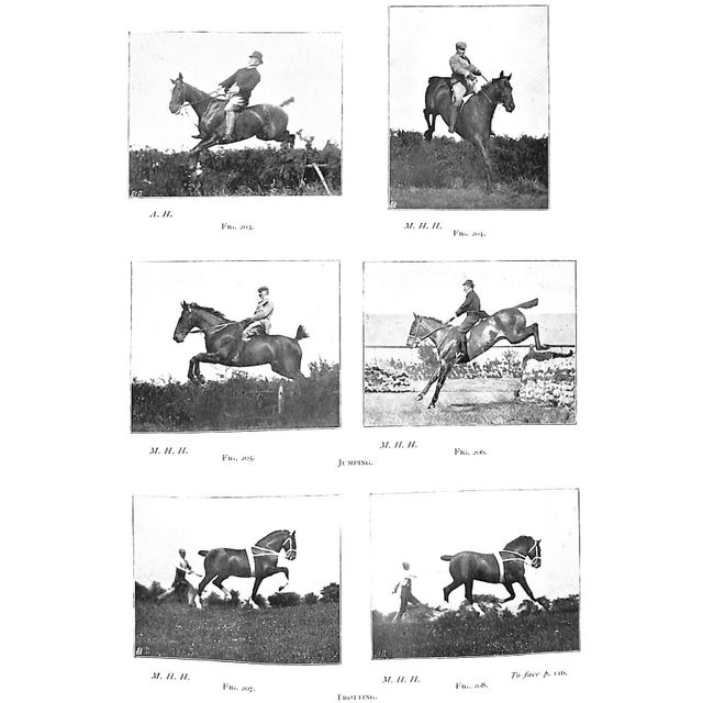 "Points of the Horse" 1897 Hayes, Capt M. Horace For Sale - Image 9 of 9