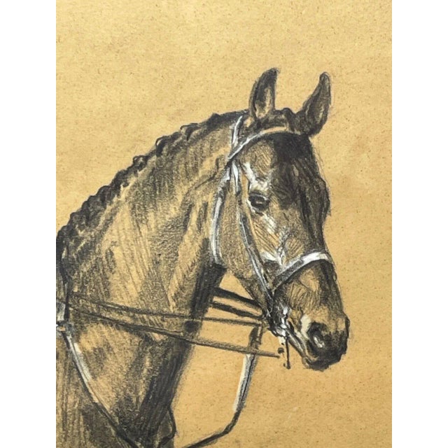 Gray Drawing East Coast American Foxhounds With Rider Playing Bugle by Michael Lyne C1950 For Sale - Image 8 of 12