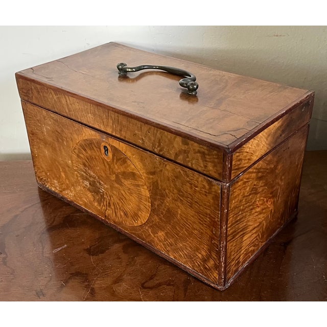 Wood Antique 18th Century English George III Satinwood and Mahogany Tea Caddy Box Circa 1790 For Sale - Image 7 of 18