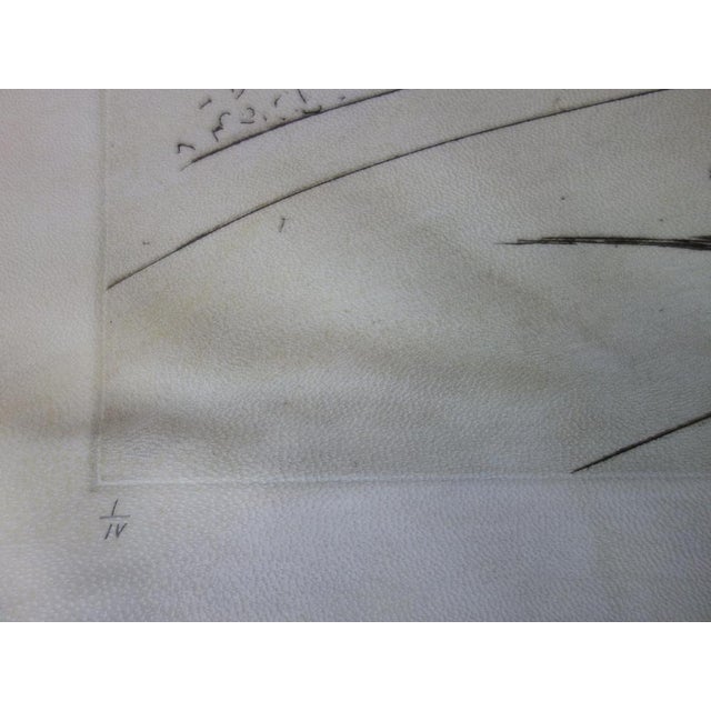 Salvador Dali, L'équilibriste, Etching For Sale - Image 5 of 7