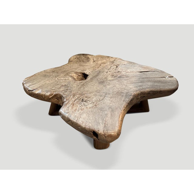 Andrianna Shamaris Impressive Single Slab Teak Wood Coffee Table For Sale - Image 4 of 5