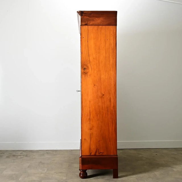 French 19th Century Mahogany Bibliotheque For Sale - Image 10 of 12