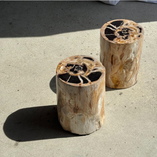 Multicoloured Petrified Wood Side Table For Sale - Image 13 of 16