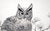 1970s Great Horned Owl Sitting on a Branch - Illustration in Ink on Cardstock by M. Kochmaruk For Sale - Image 5 of 7