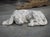 Italian Volterra Alabaster Sleeping Hound Sculpture – Bardiglio Grey, 20th C. For Sale - Image 10 of 14