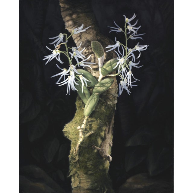 "Orchid and Lizard" is an oil on panel painting by Susan McDonnell, completed in 2019. Two sprays of small white orchids...