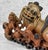 Jade Antique 9" Traditional Chinese Soapstone Foo Dog & Cubs Sculpture For Sale - Image 8 of 10
