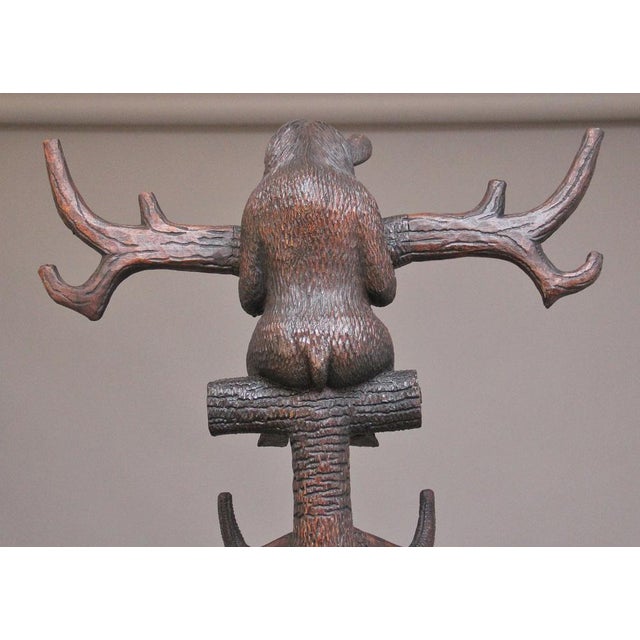 A finely carved early 20th Century walnut black forest bear hall stand with a cub playing in the branches above, the bear...
