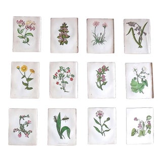 Authentic Antique 19th Century Anne Pratt Botanical Chromolithographs - Set of 12 For Sale