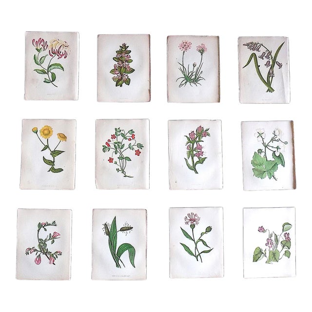 Authentic Antique 19th Century Anne Pratt Botanical Chromolithographs - Set of 12 For Sale
