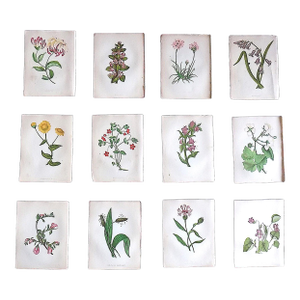 Authentic Antique 19th Century Anne Pratt Botanical Chromolithographs - Set of 12