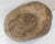 19th Century or Earlier Rustic Carved Primitive Farmhouse Trencher Dough Bowl For Sale - Image 11 of 12