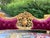1950s French Louis XVI Gold Beech Velvet Settee For Sale - Image 9 of 13