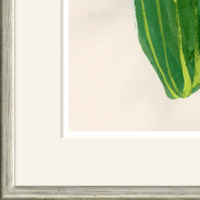 Archival Giclee Print. High quality materials and craftsmanship. Artisian handcrafted wood moulding imported from Europe....