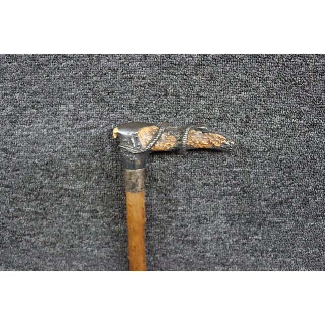 Early 20th Century Antique English Country Walking Stick With Deer Antler and Silver Handle For Sale - Image 5 of 16