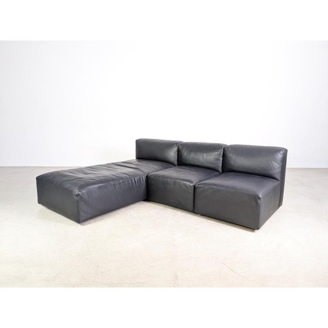 Animal Skin Corner Sofa in Leather from Walter Knoll, Set of 3 For Sale - Image 7 of 13