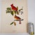 Audubon Bird Print – “Cardinal Grosbeak”, 1964 Abrams Folio – Vintage Ornithology Art 1964 print from "The Audubon Folio:...