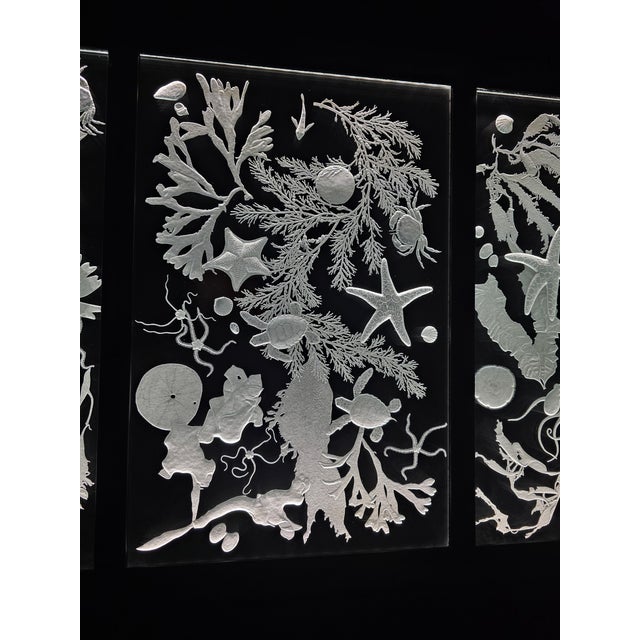 Hand Engraved Sea Life Glass and Metal Coffee Table For Sale - Image 10 of 15