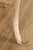Late 20th Century Faux Bois Carved Wood & Marble Top Round Accent Table For Sale In Philadelphia - Image 6 of 17