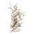 Curtis Jere Nature Series Pine Tree Branch Wall Art Hanger Wrought Iron C. Jere For Sale