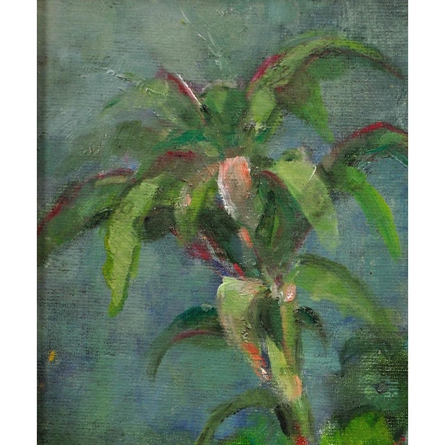 Diana Maxwell Armfield, Pink Primulas & Pot Plants Still Life, Oil Painting, 1970s For Sale - Image 6 of 18