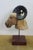 Vintage Indo Persian Carved Wood Ram Head Bust Sculpture on Stand 18" For Sale - Image 4 of 16