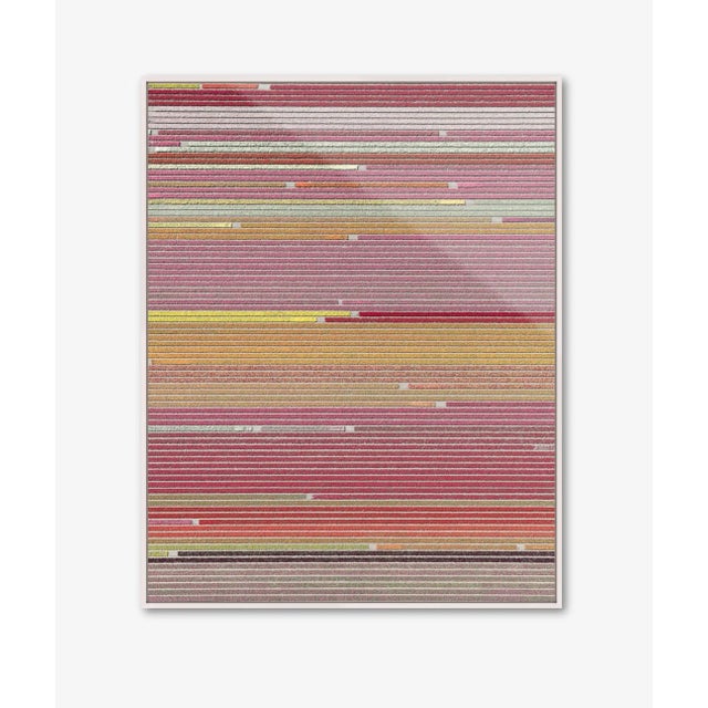 Edition Aerial Views Bernhard Lang Image: AV_Tulip_Fileds_006 Size A: 141,4 x 180 cm / 55,6 x 70,8 inches, Captured in...