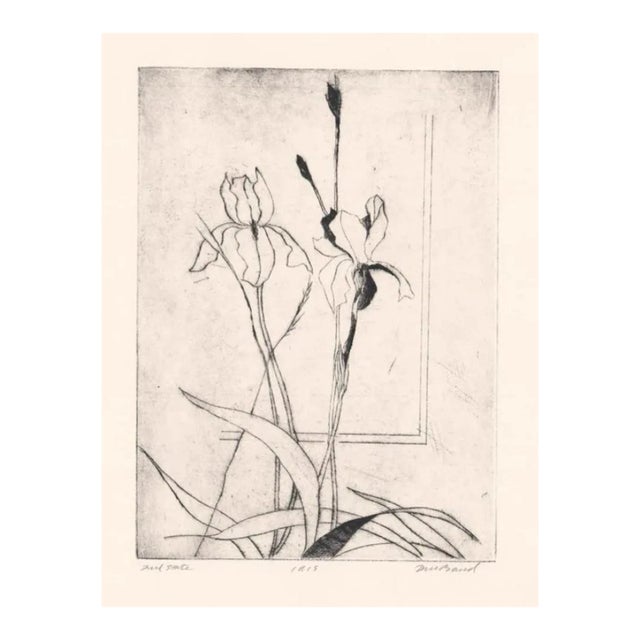 David Baird Still Life Etching of Iris For Sale