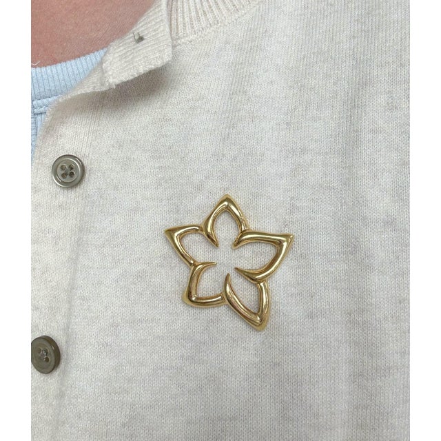 This whimsical brooch by Tiffany and Co. features a five pointed star flower with polished finish. Accompanied by a...